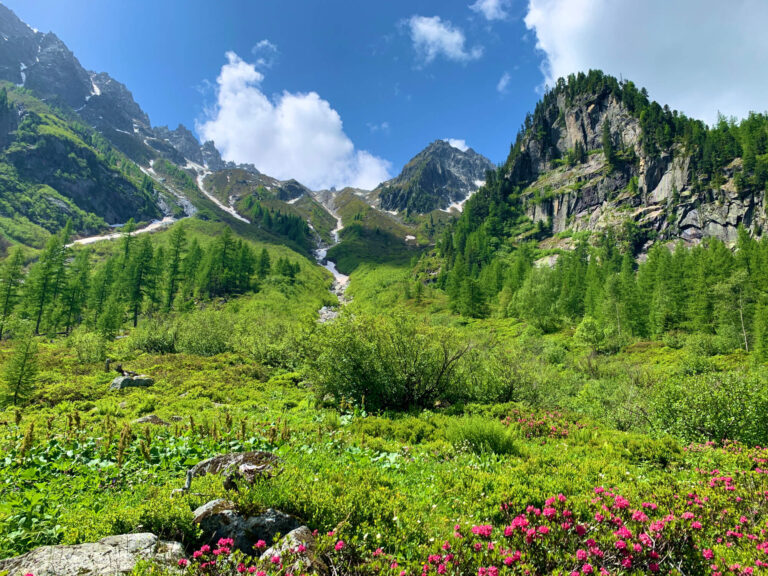 The Alps in summer time