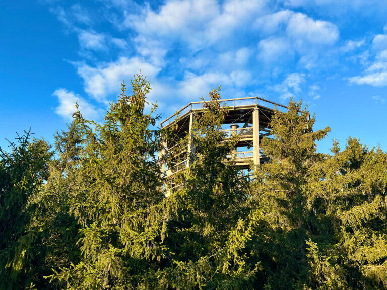 The Treetop Walkway at Lipno in Czechia.