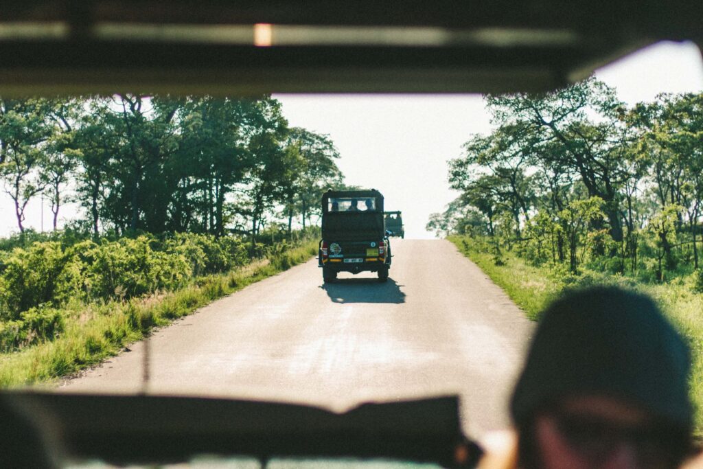 Safari truck convoy as seen from the back of a vehicle.