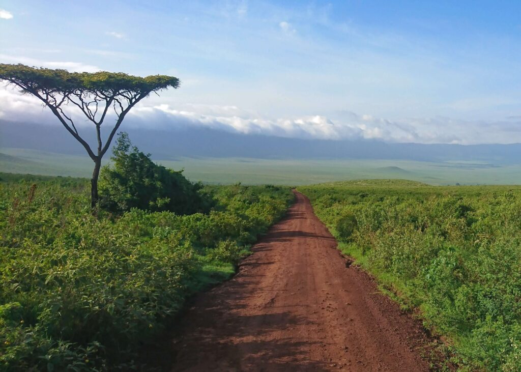 Ngorongoro Crater in Tanzania.