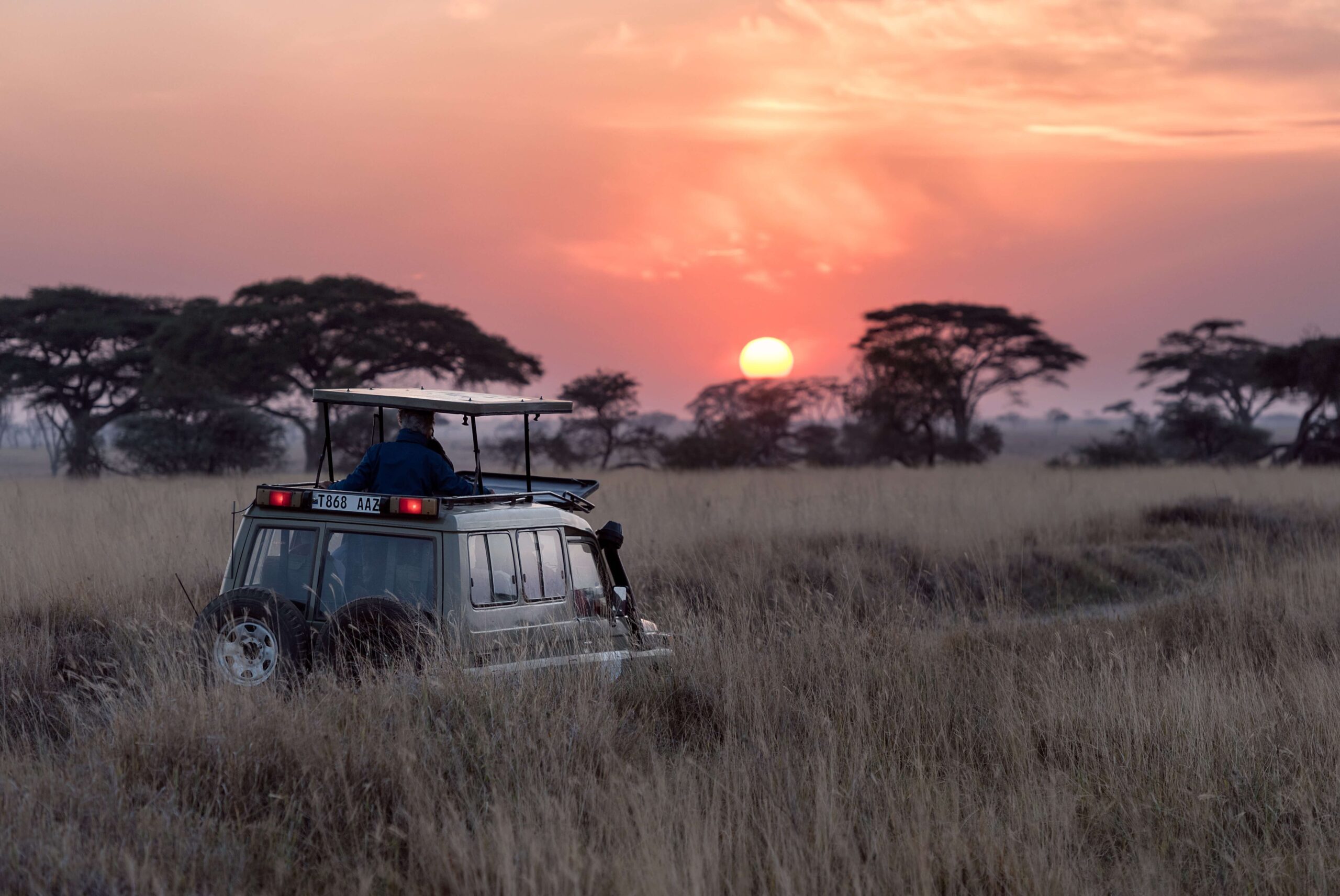 A land rover on safari in Africa at sunset.