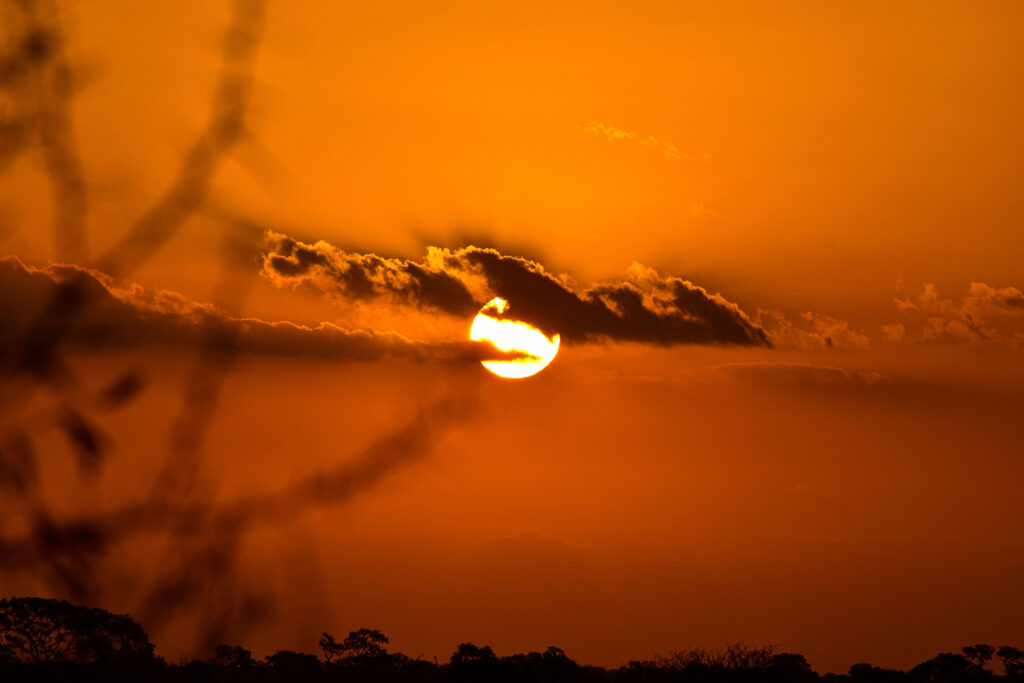 Orange sunset in the Kruger National Park.