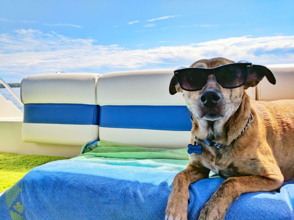 Dog wearing sunglasses sat on a beach towel on a boat.