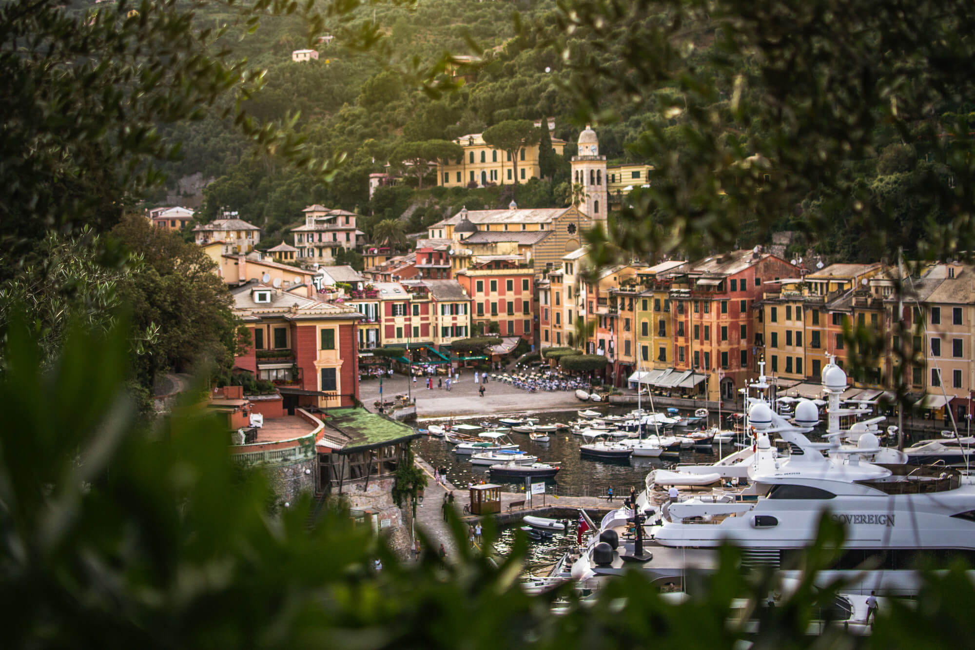A view of Portofino and its habour in Italy, through the trees.