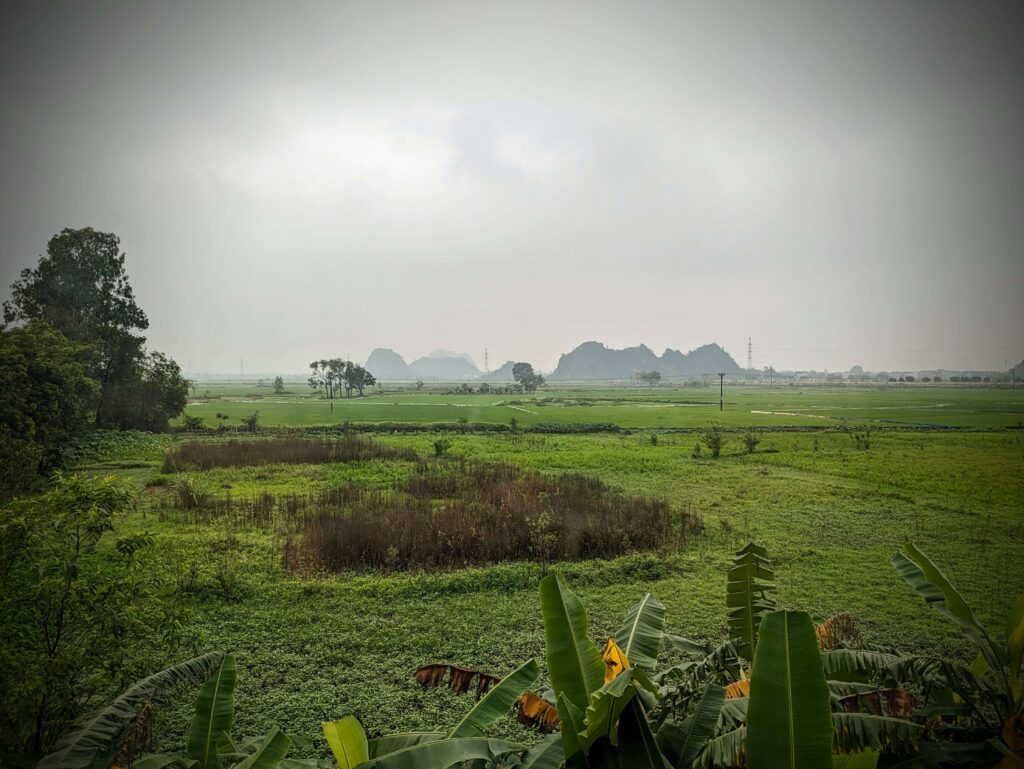 The lush green fields of Ninh Binh.