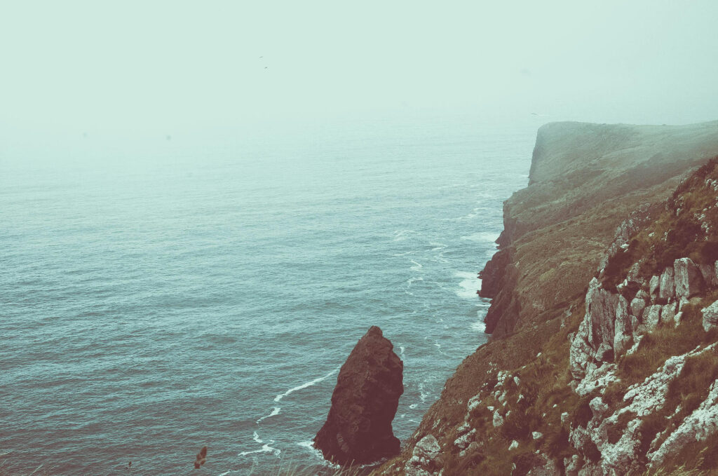 The coastline at Dunedin, New Zealand.