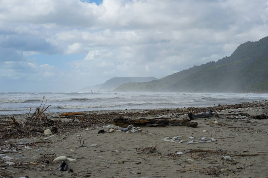 A rugged beach on the New Zealand coast.