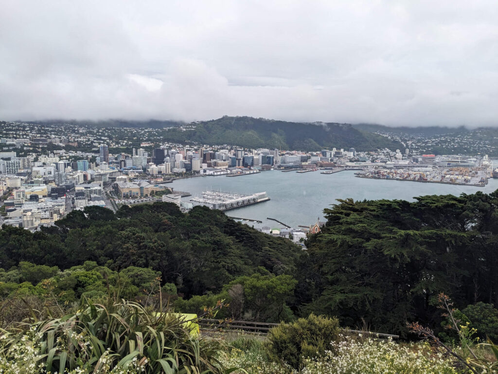 The views from Mount Victoria lookout in Wellington.