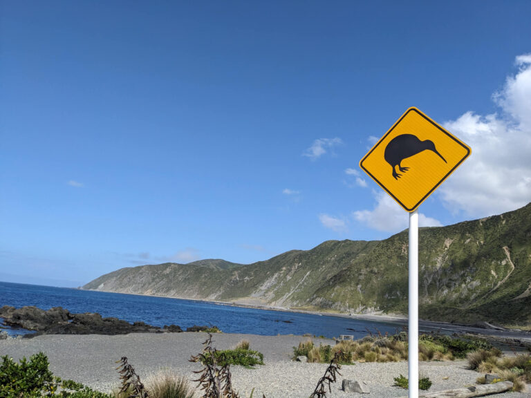 A yellow kiwi sign at Red Rocks, Wellington.