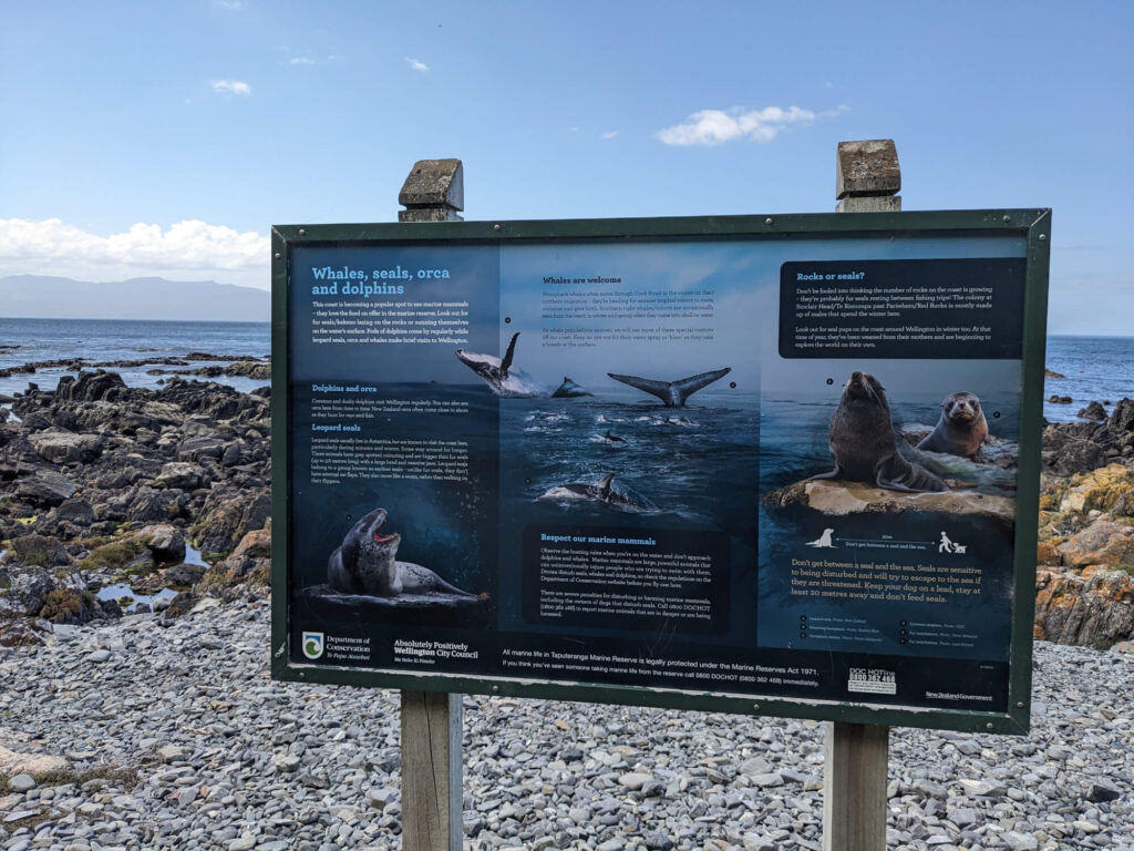 A sign detailing all the wildlife you can see at Red Rocks in Wellington.