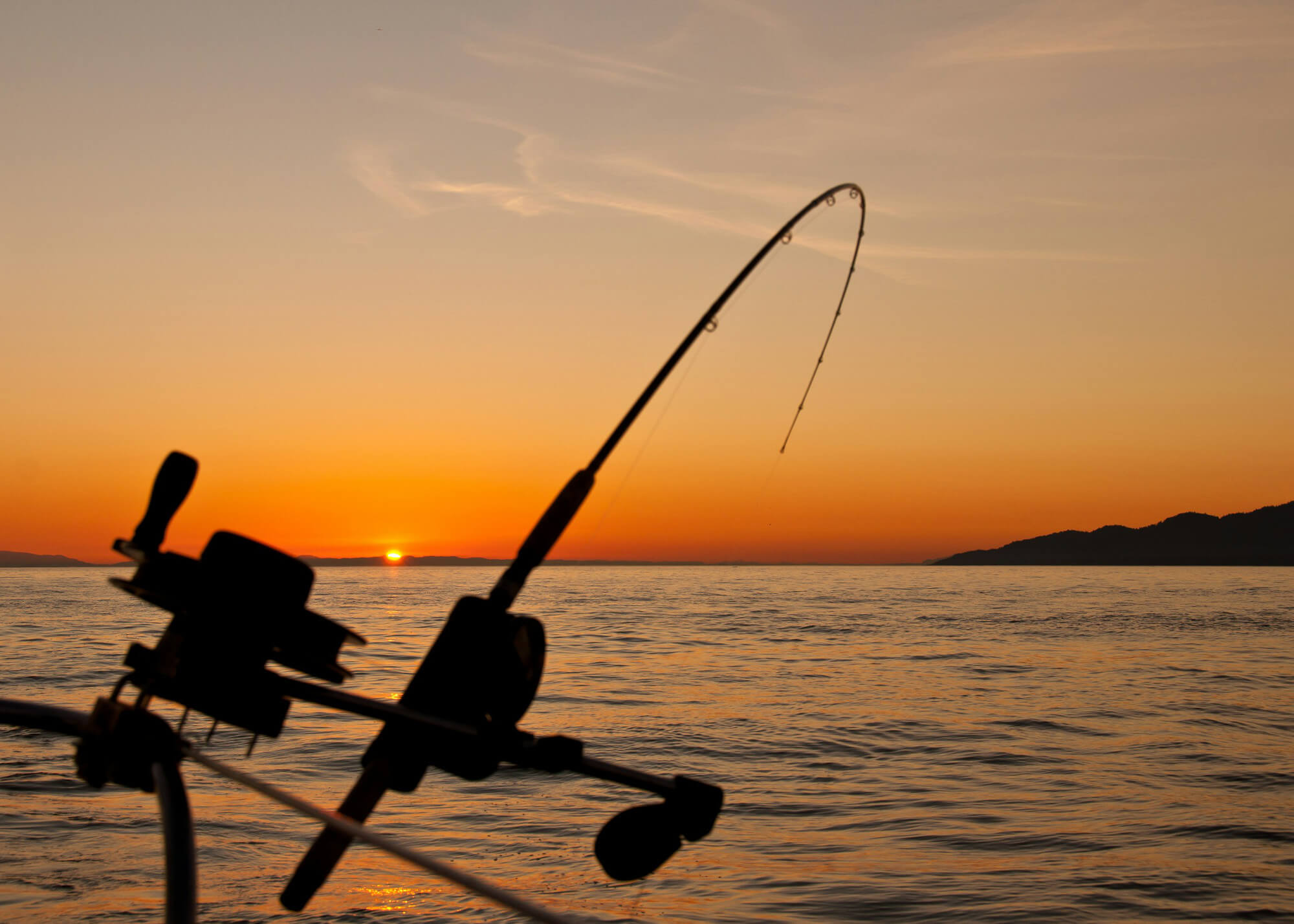 A fishing rod at sunset.