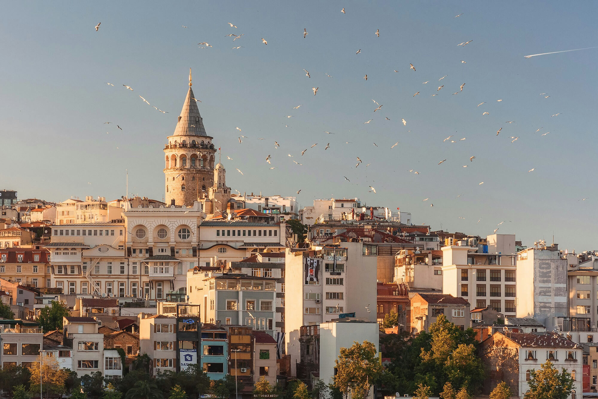 A flock of birds flies over Istanbul in Turkey.