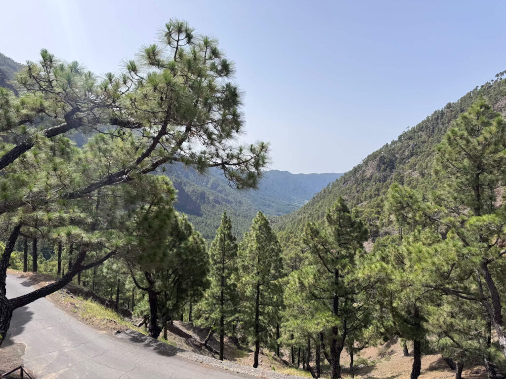 Beautiful mountain scenery in La Palma.