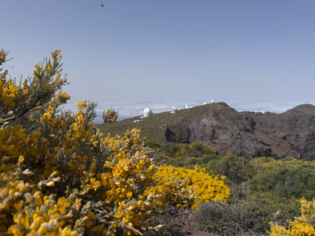 The view of the telescopes in La Palma from the Roque de los Muchachos viewpoint.