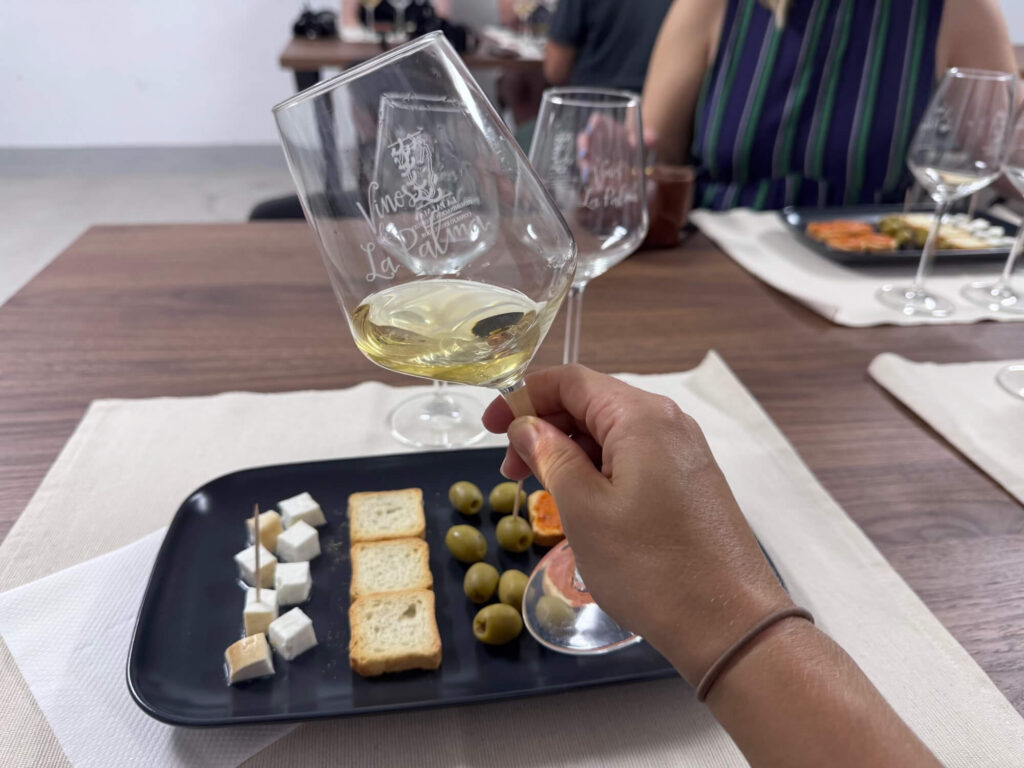 A hand holding a glass of white wine over a plate of nibbles at Bodegas Carbollo in La Palma.