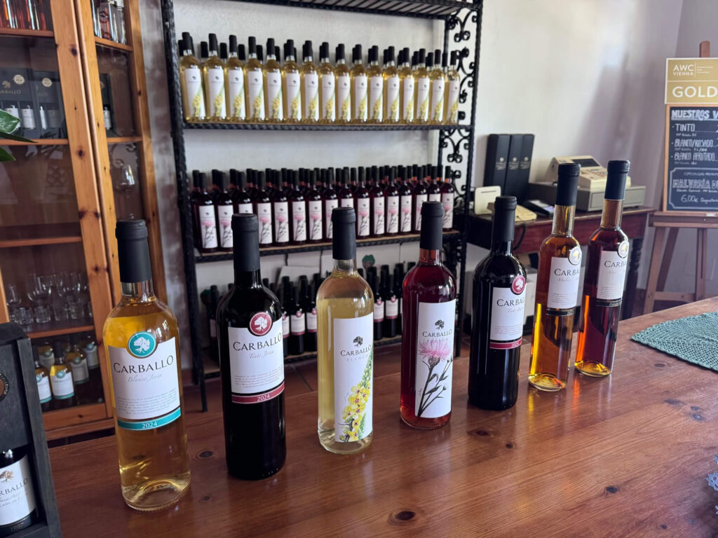 A line of local wines at Bodegas Carbollo in La Palma.