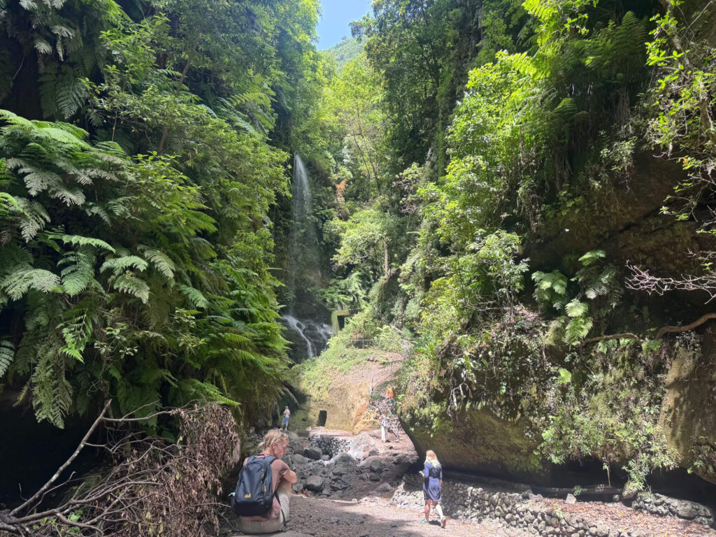Los Tilos waterfall in La Palma.